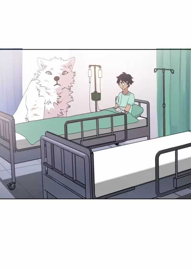 Lumine - Chapter 34 - Trang 21