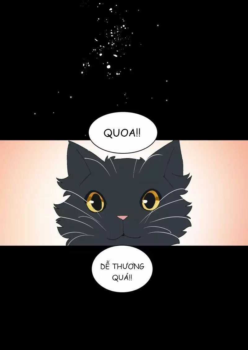 Lumine - Chapter 35 - Trang 13