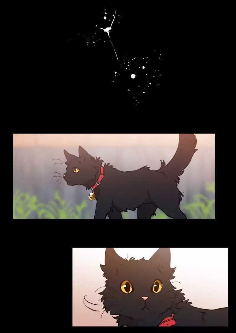 Lumine - Chapter 37 - Trang 26