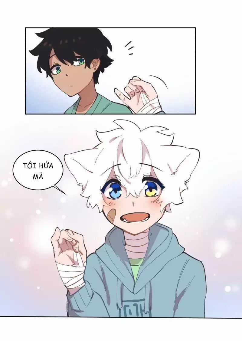 Lumine - Chapter 39 - Trang 20