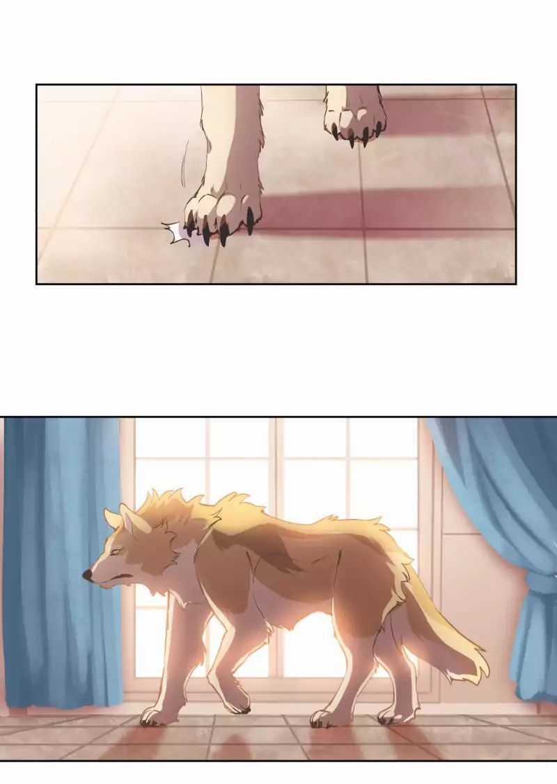 Lumine - Chapter 41 - Trang 29