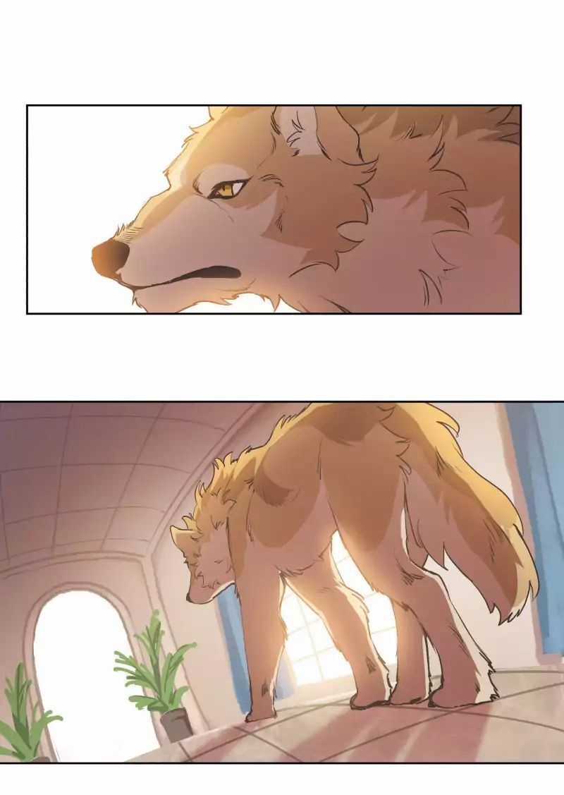 Lumine - Chapter 41 - Trang 30