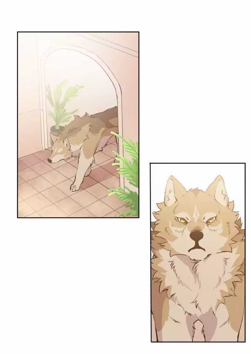 Lumine - Chapter 41 - Trang 31