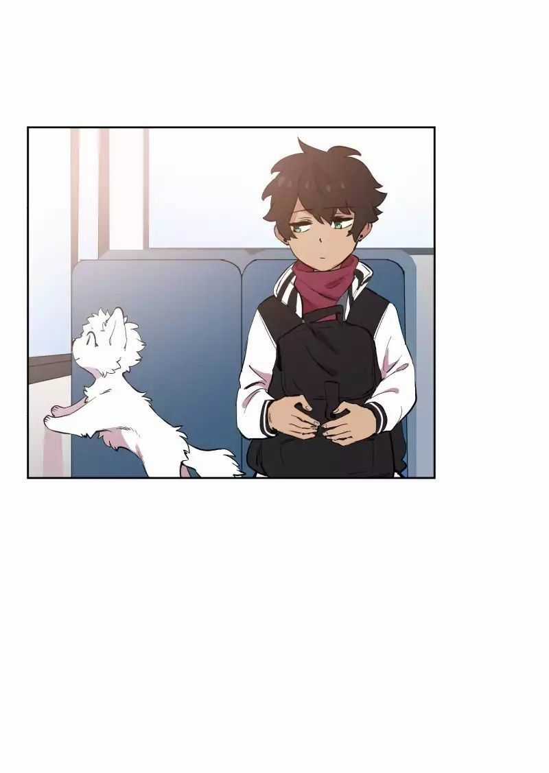 Lumine - Chapter 43 - Trang 13