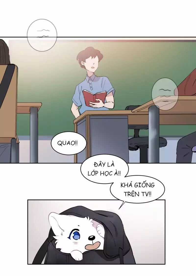 Lumine - Chapter 43 - Trang 24