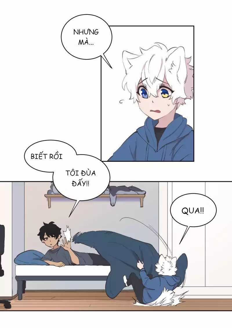 Lumine - Chapter 43 - Trang 5