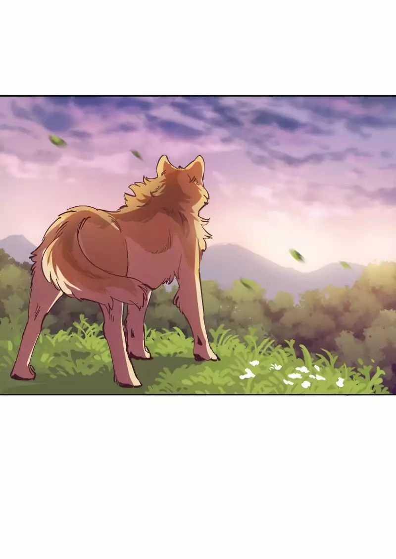 Lumine - Chapter 45 - Trang 24