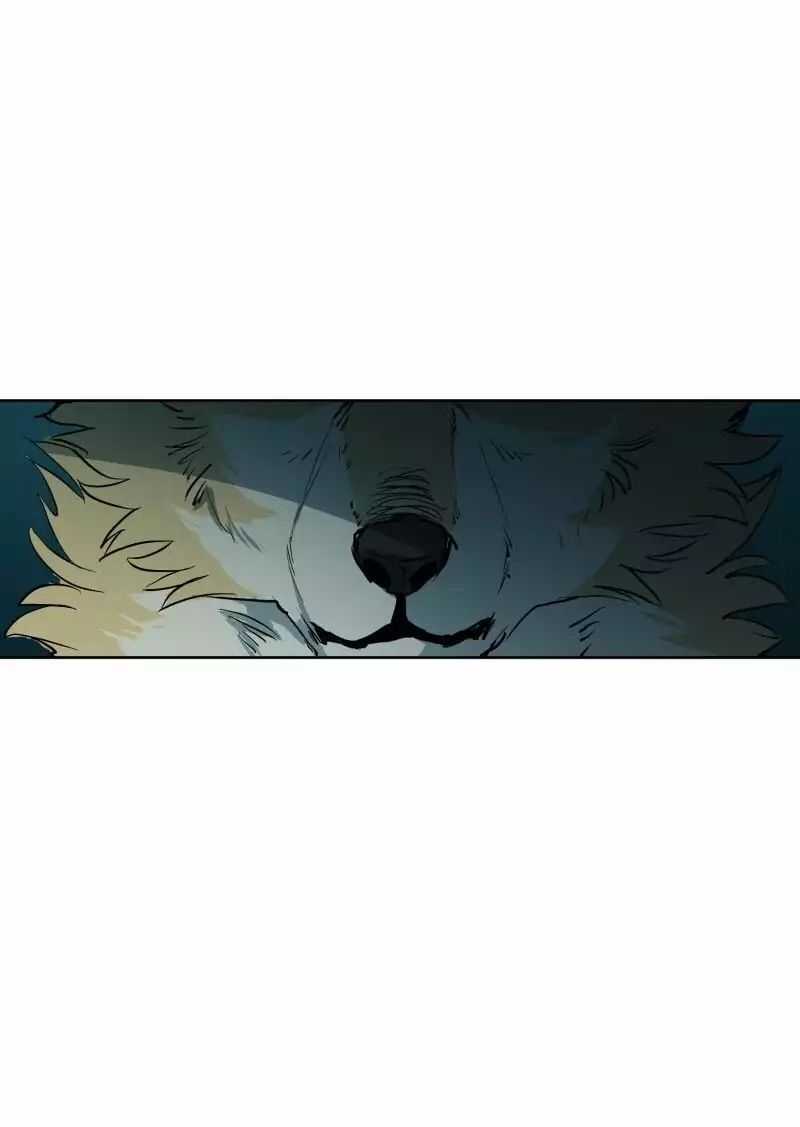 Lumine - Chapter 49 - Trang 11