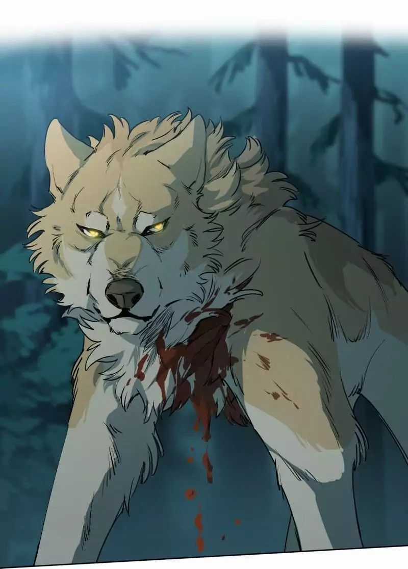 Lumine - Chapter 50 - Trang 11