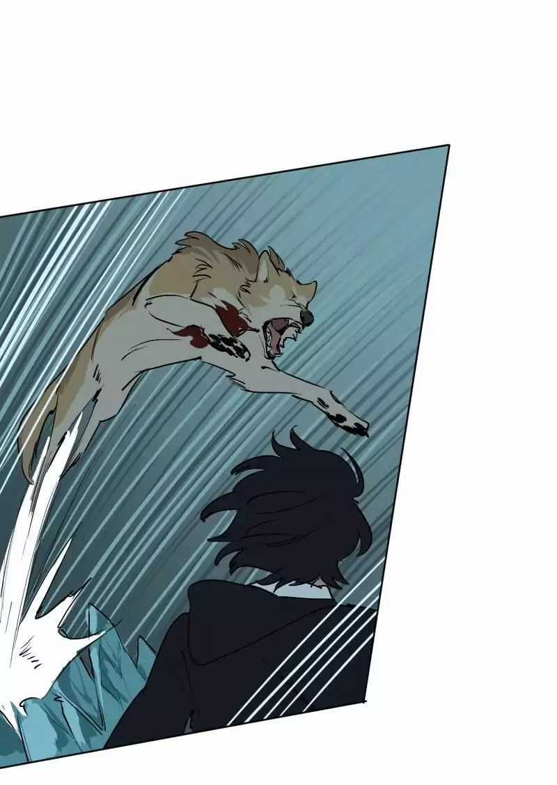 Lumine - Chapter 50 - Trang 17