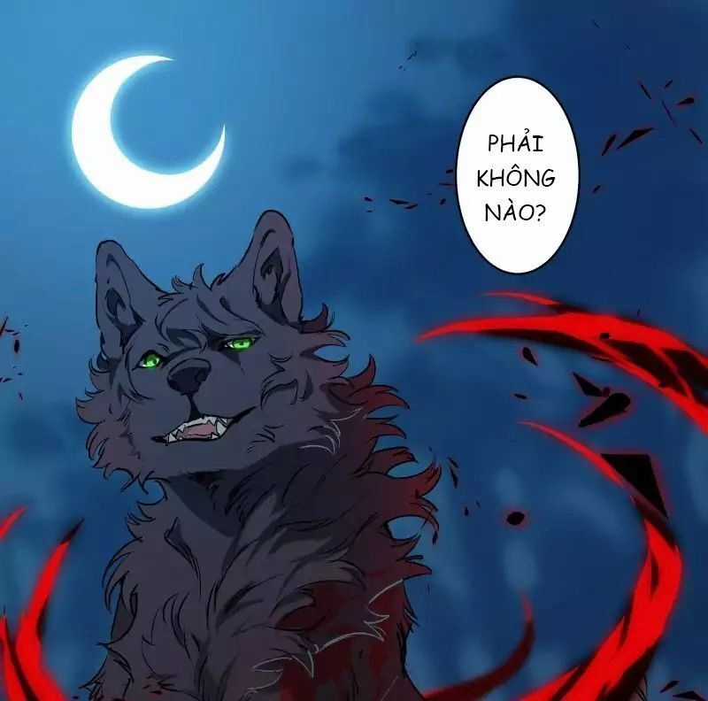 Lumine - Chapter 50 - Trang 39