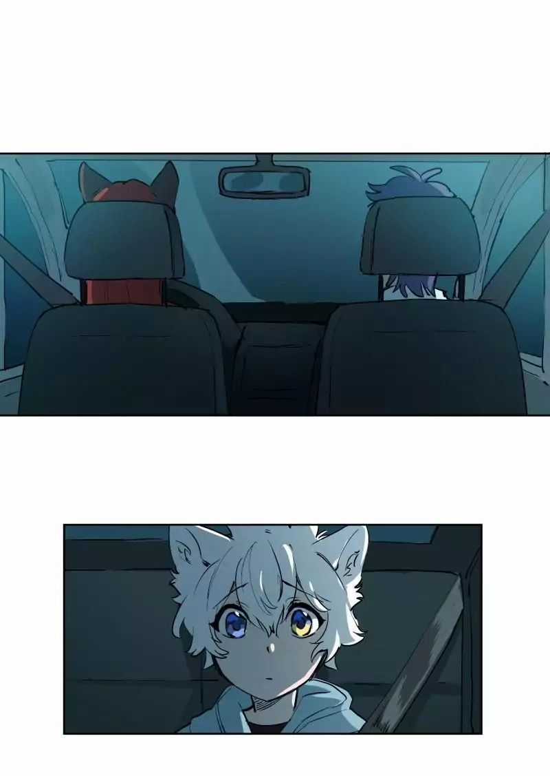 Lumine - Chapter 50 - Trang 7