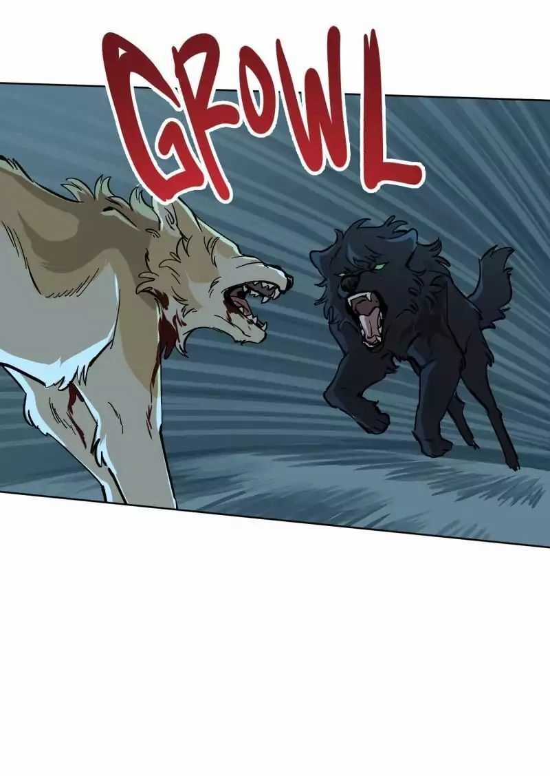 Lumine - Chapter 51 - Trang 11