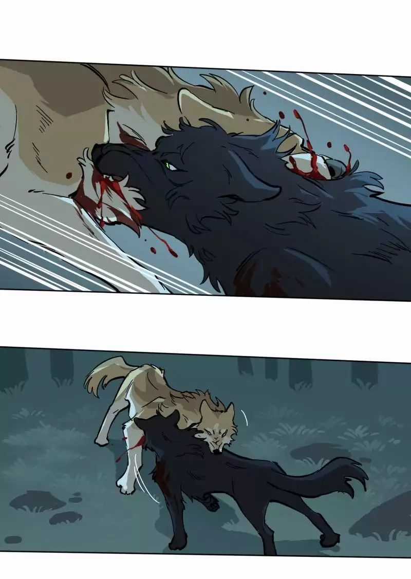 Lumine - Chapter 51 - Trang 12