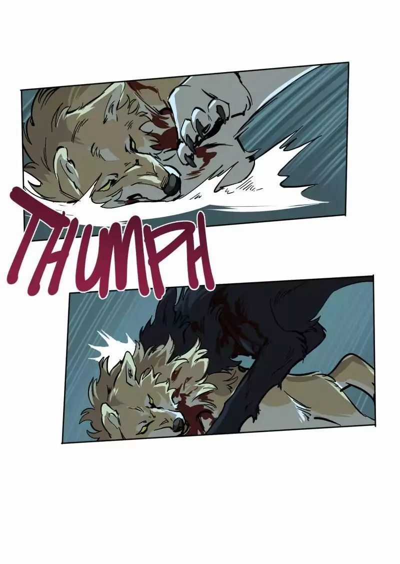 Lumine - Chapter 51 - Trang 14