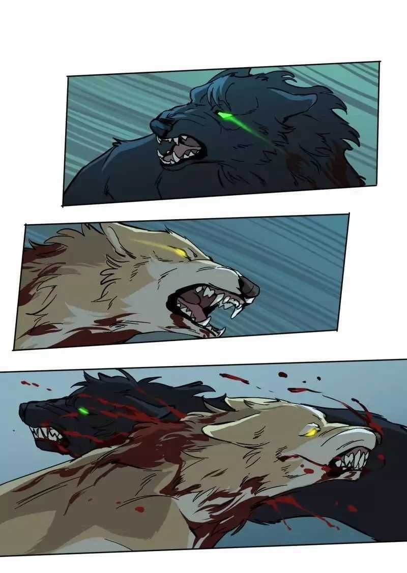 Lumine - Chapter 51 - Trang 21