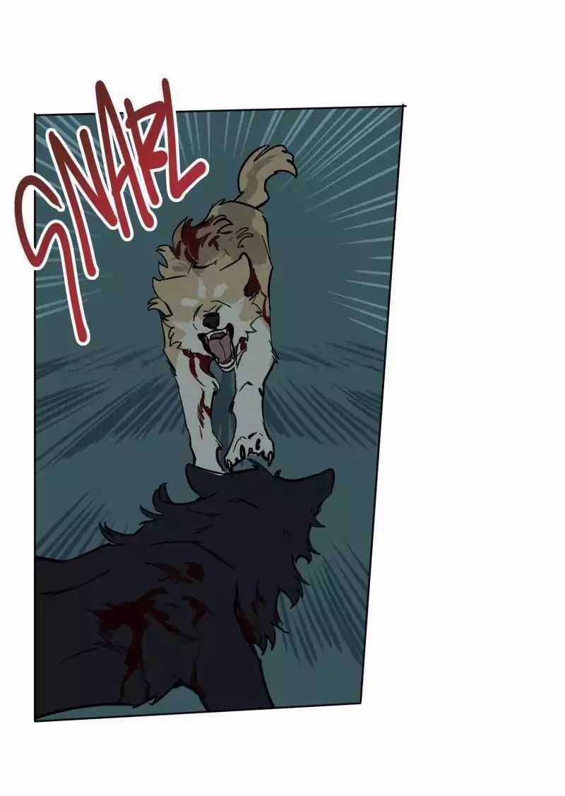 Lumine - Chapter 51 - Trang 26