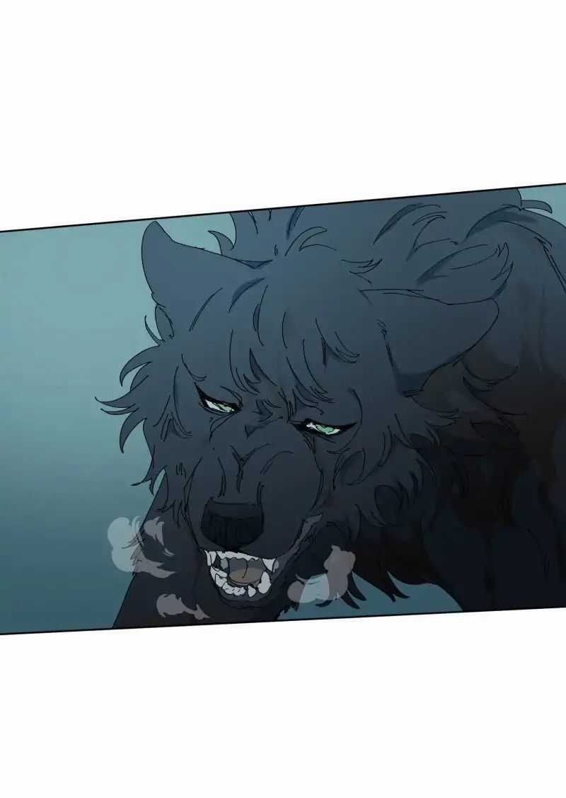 Lumine - Chapter 55 - Trang 11