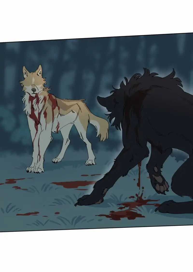 Lumine - Chapter 55 - Trang 12