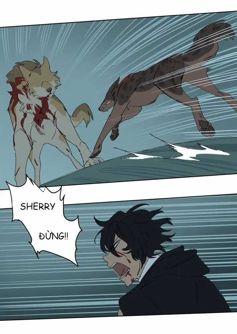 Lumine - Chapter 55 - Trang 23