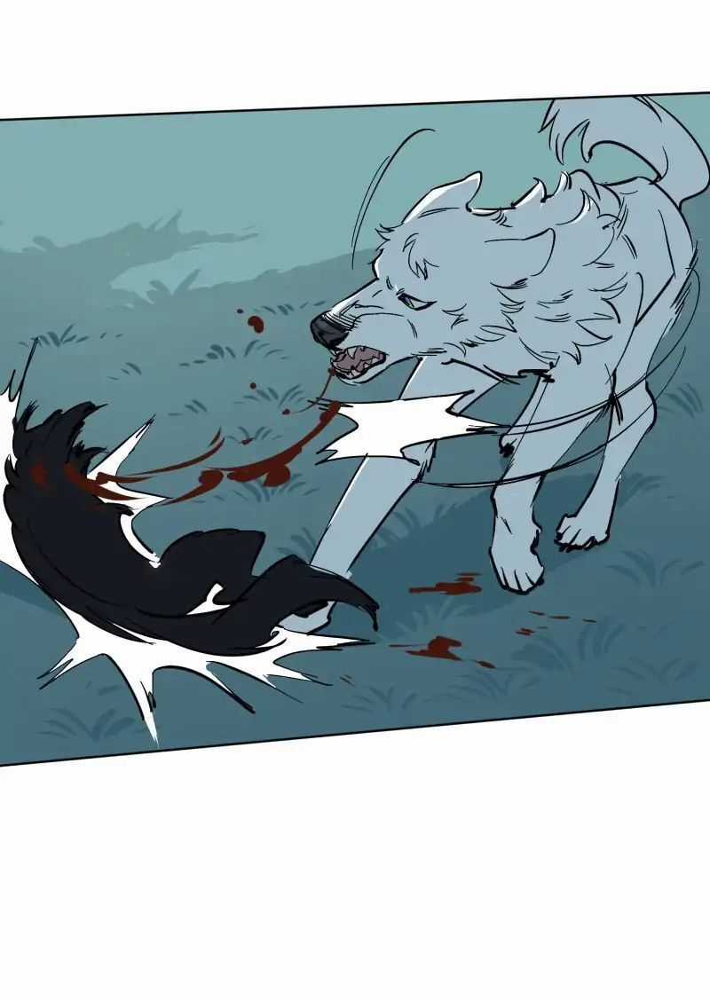 Lumine - Chapter 55 - Trang 5