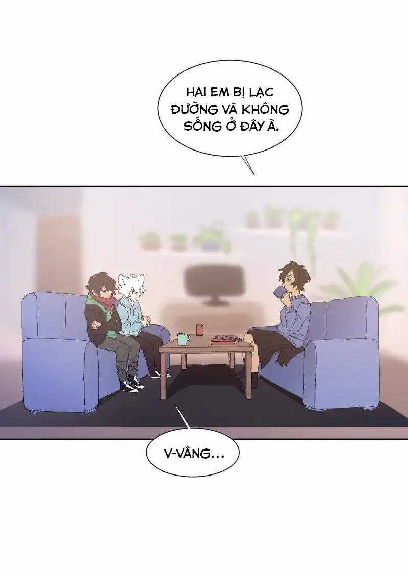 Lumine - Chapter 60 - Trang 16