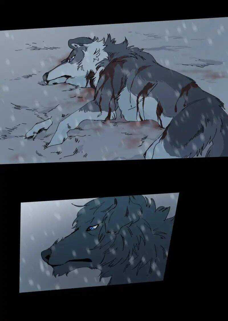 Lumine - Chapter 62 - Trang 25