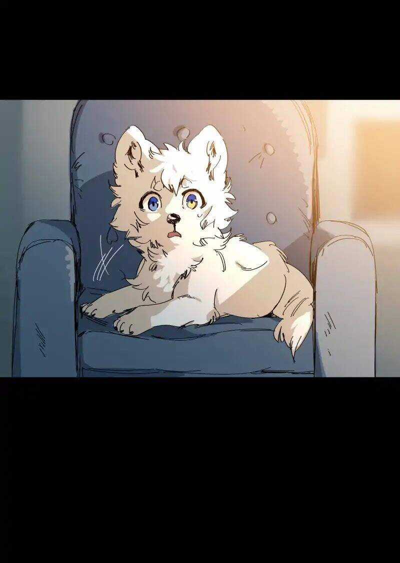 Lumine - Chapter 63 - Trang 15