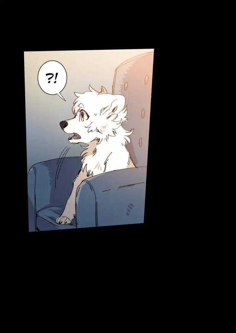 Lumine - Chapter 63 - Trang 16