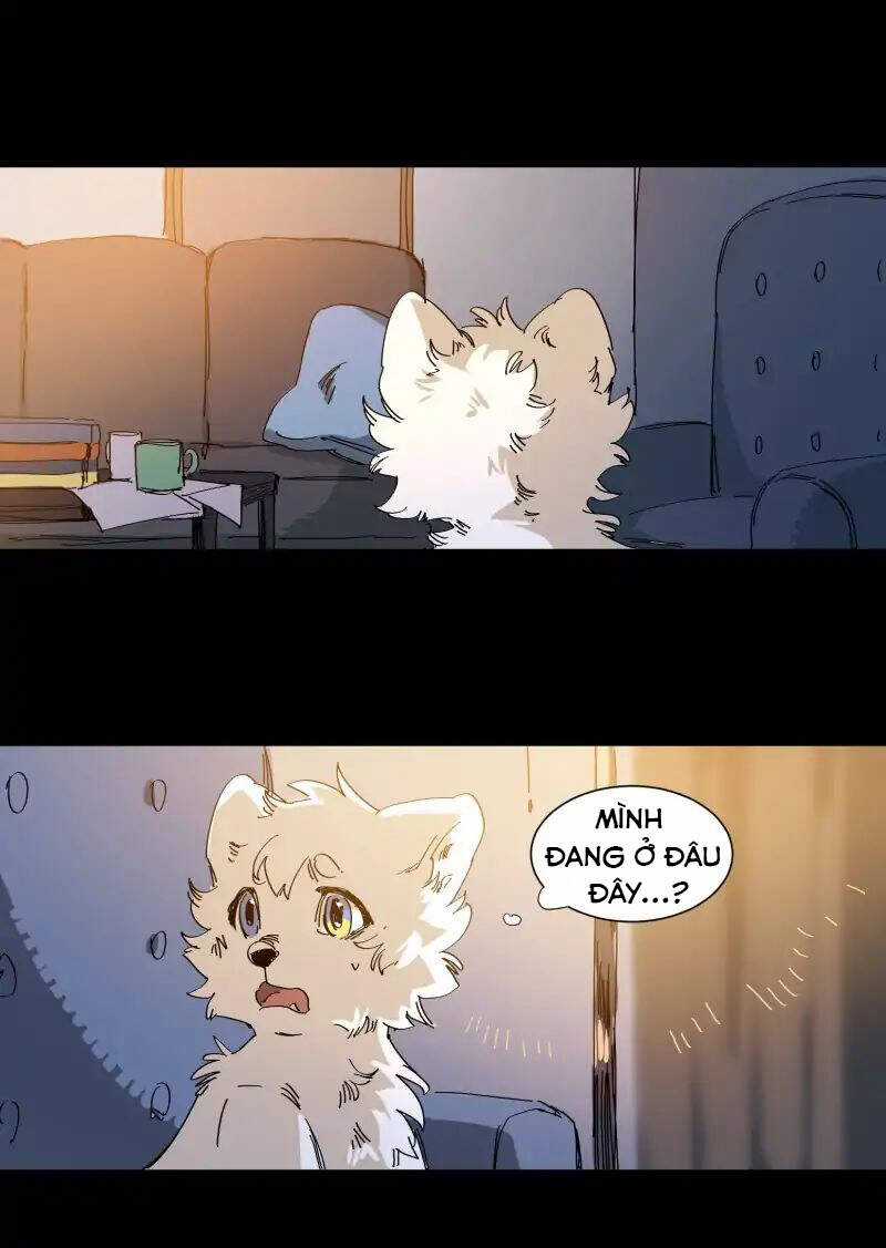 Lumine - Chapter 63 - Trang 17