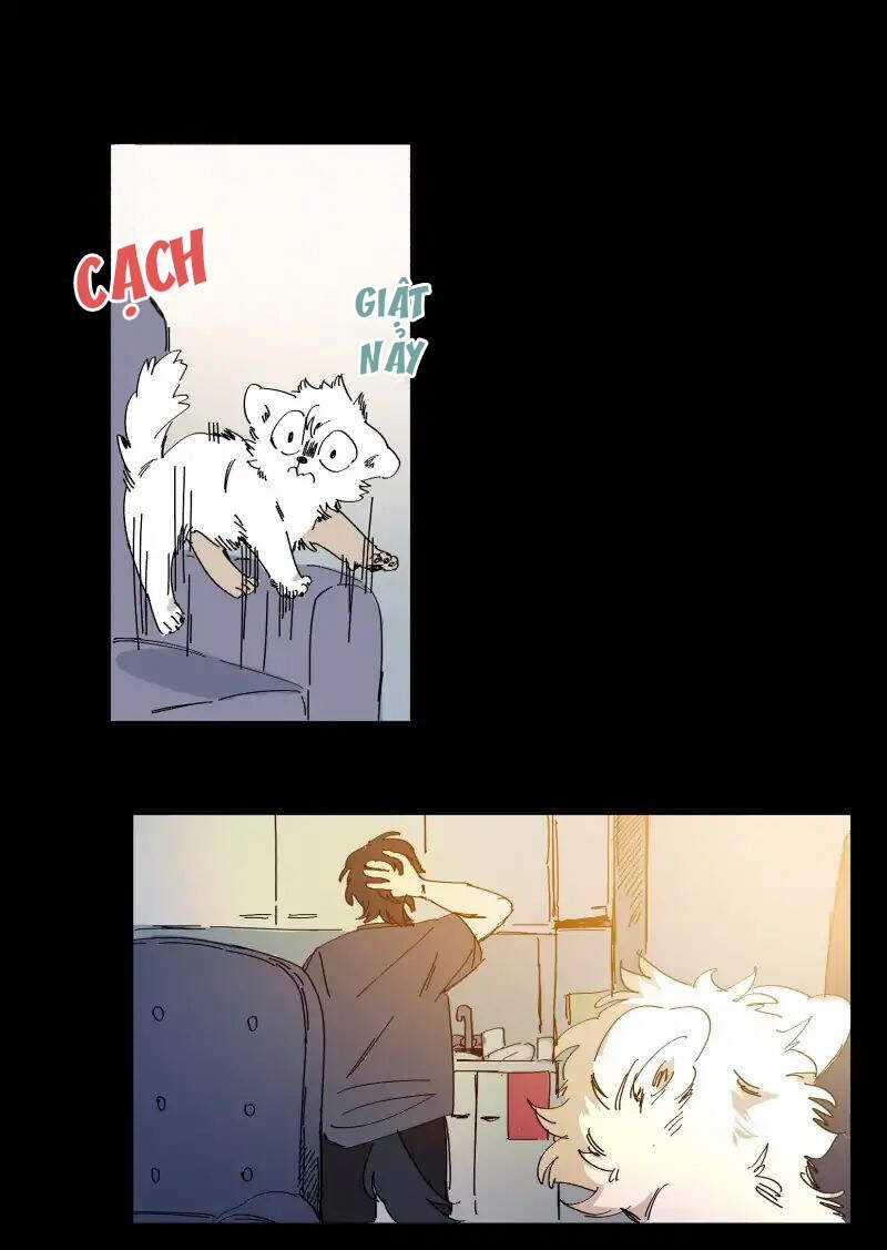 Lumine - Chapter 63 - Trang 18