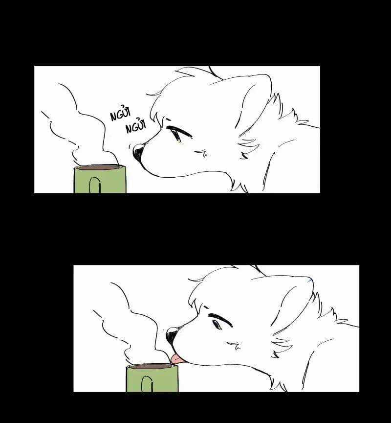 Lumine - Chapter 64 - Trang 24