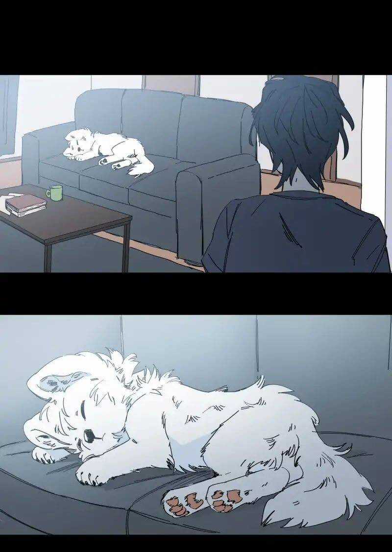 Lumine - Chapter 65 - Trang 19