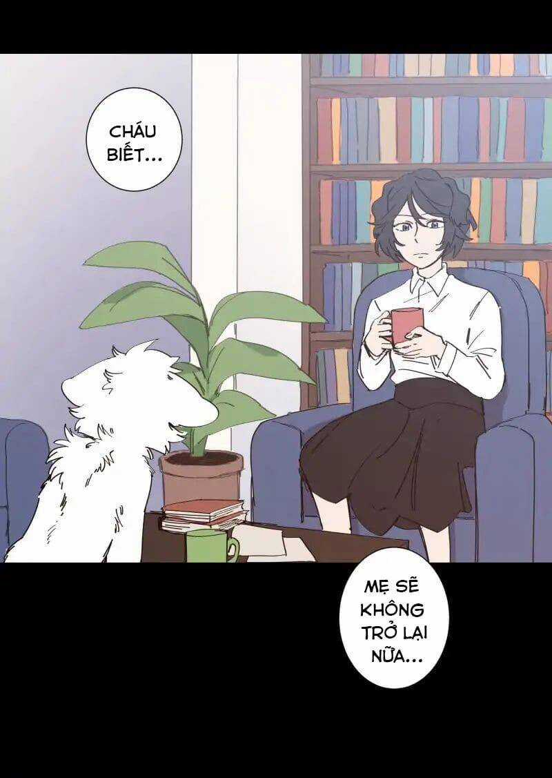 Lumine - Chapter 65 - Trang 4