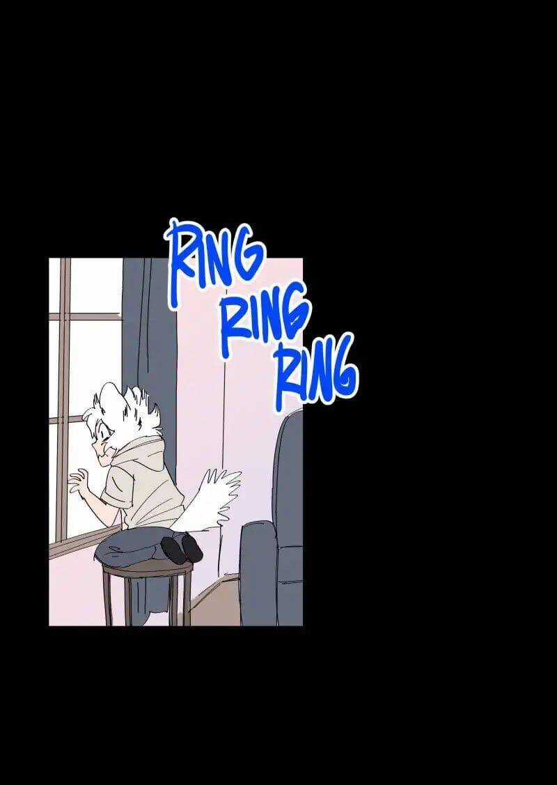 Lumine - Chapter 66 - Trang 16