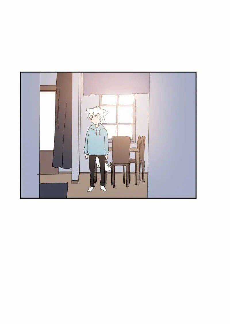 Lumine - Chapter 68 - Trang 12