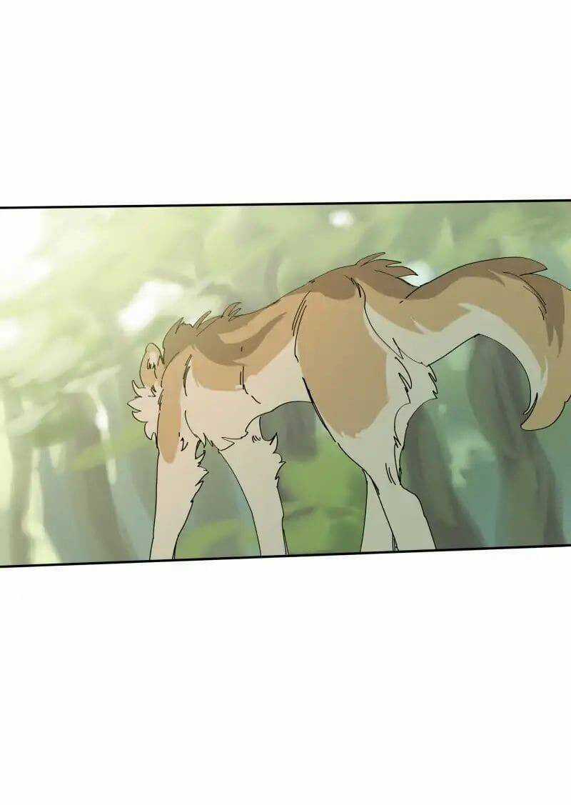 Lumine - Chapter 68 - Trang 16