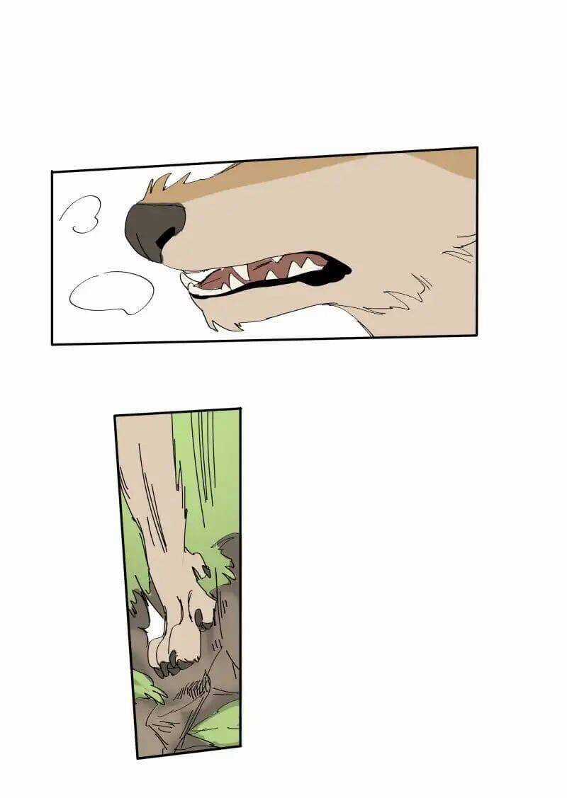 Lumine - Chapter 68 - Trang 17