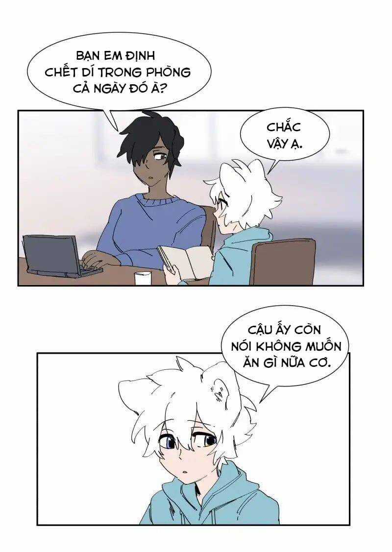 Lumine - Chapter 68 - Trang 5