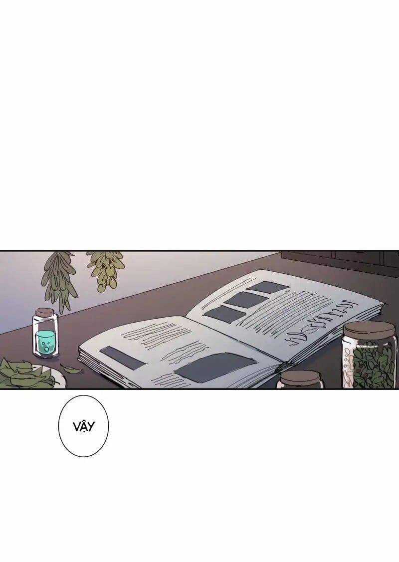 Lumine - Chapter 69 - Trang 14