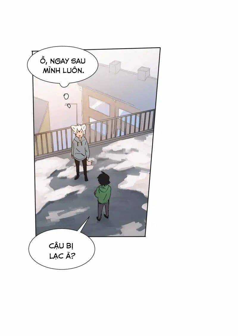 Lumine - Chapter 70 - Trang 6