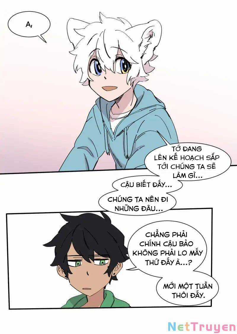 Lumine - Chapter 72 - Trang 25