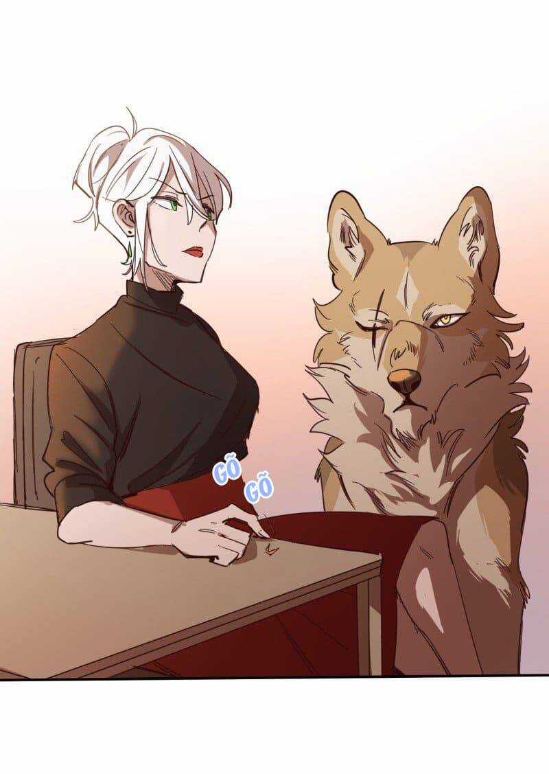 Lumine - Chapter 73 - Trang 37