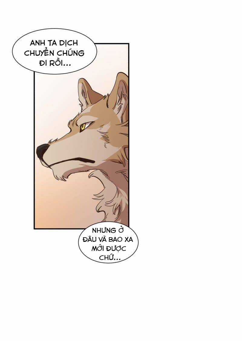 Lumine - Chapter 73 - Trang 39