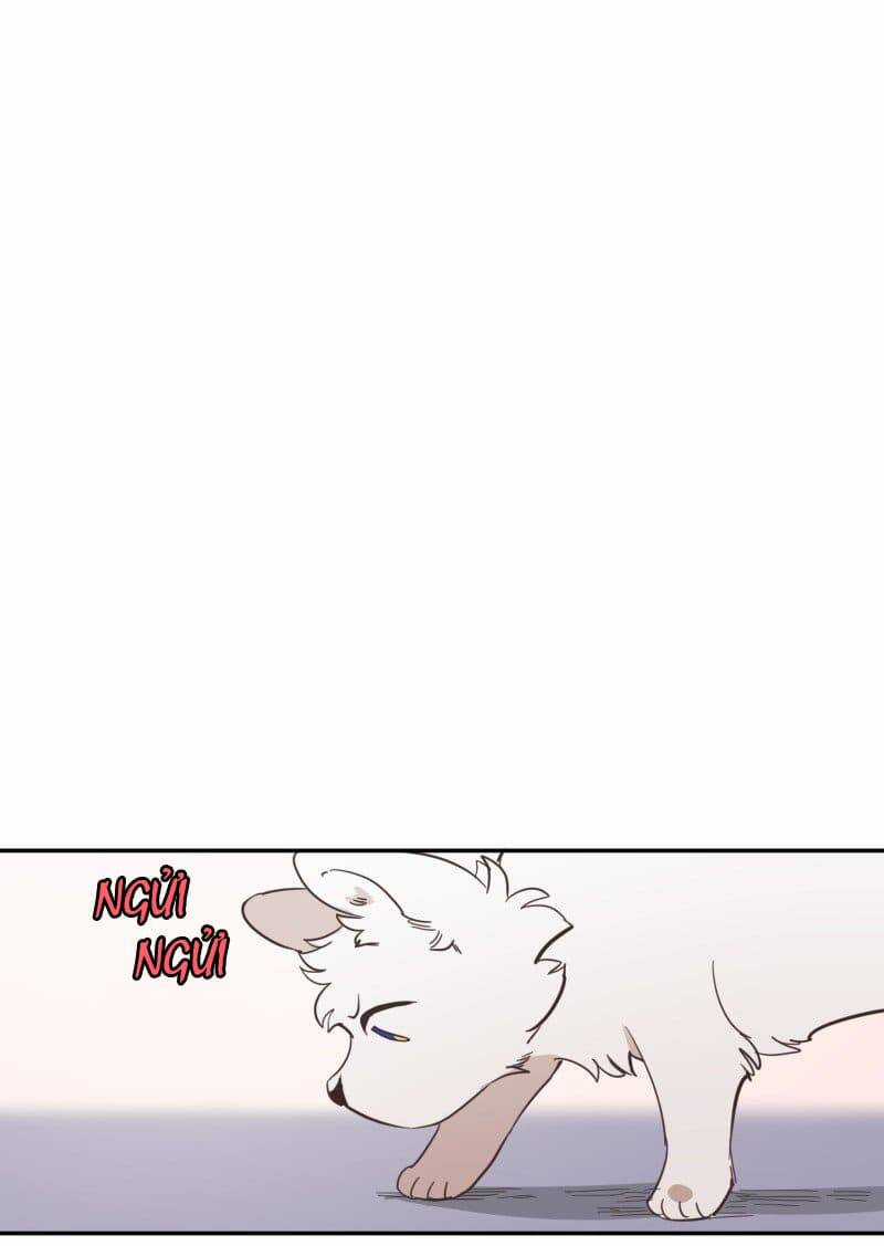 Lumine - Chapter 73 - Trang 43