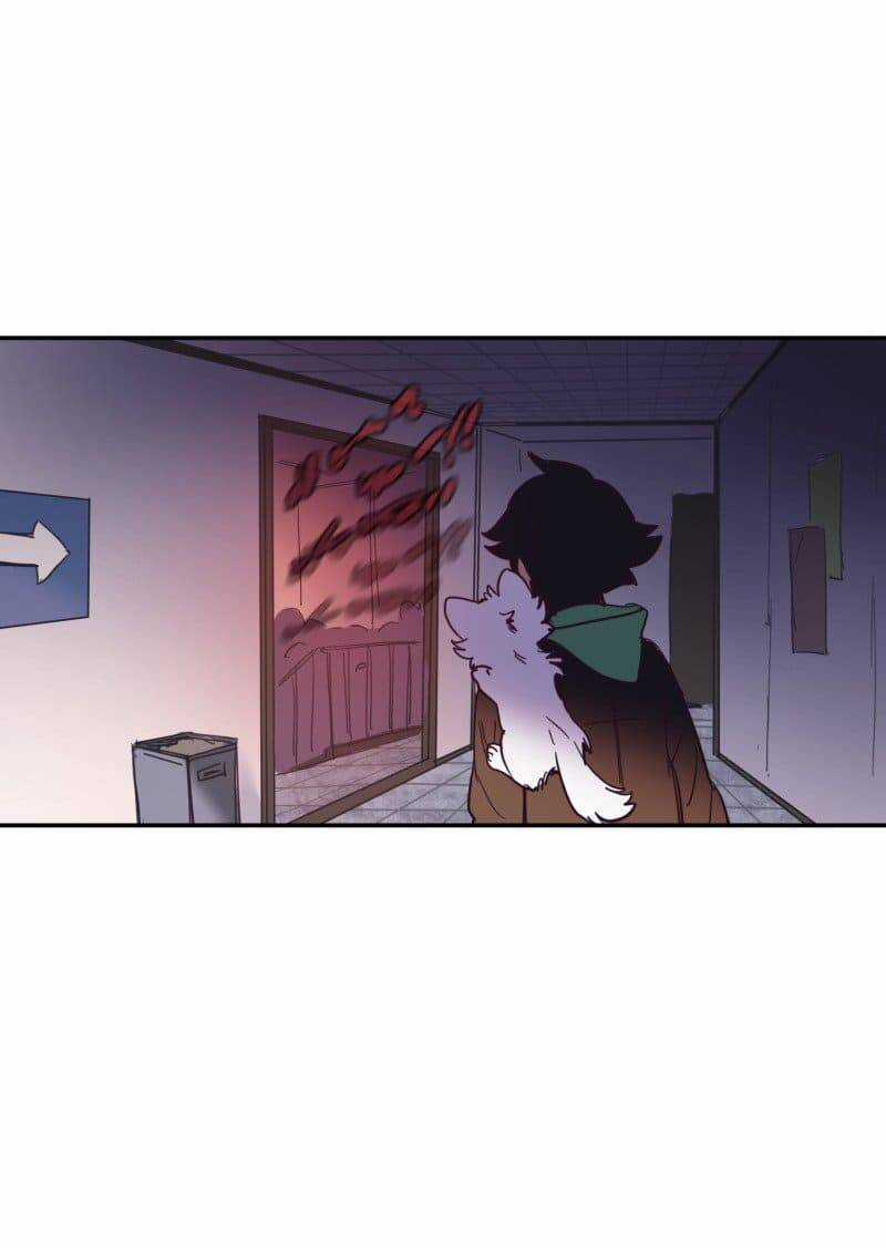 Lumine - Chapter 73 - Trang 55