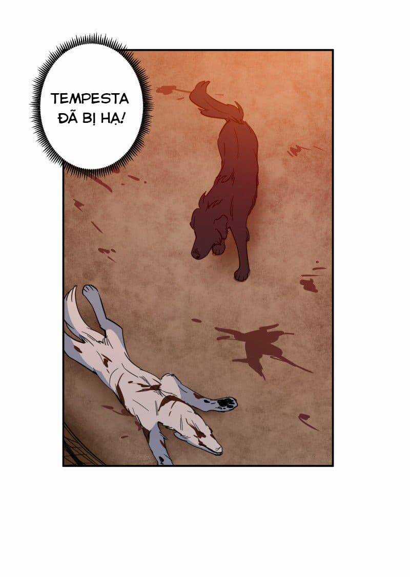 Lumine - Chapter 74 - Trang 11