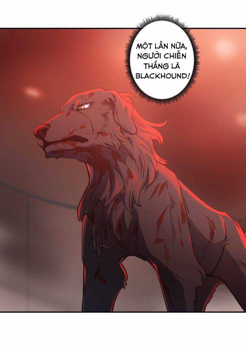 Lumine - Chapter 74 - Trang 12