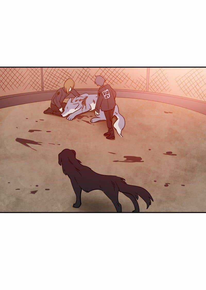 Lumine - Chapter 74 - Trang 14