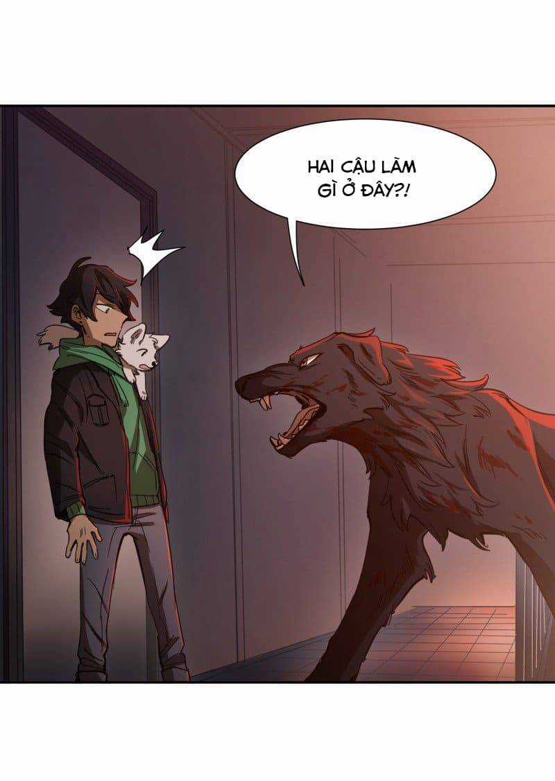 Lumine - Chapter 74 - Trang 17